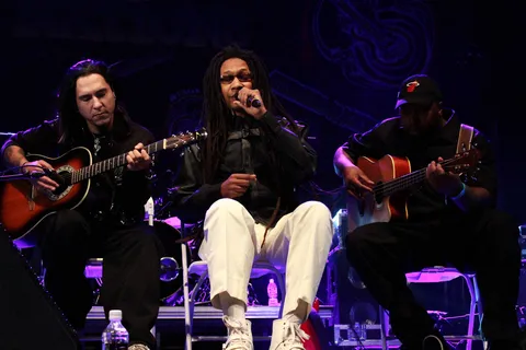 Acoustic set